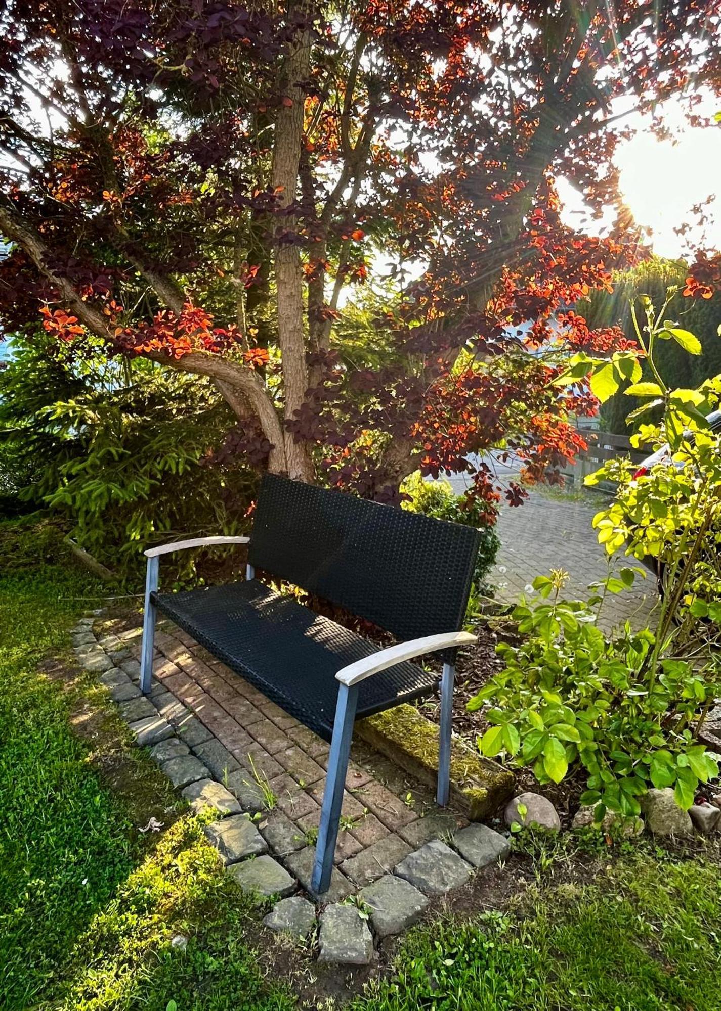 Ferienhaus Windmuehlenweg Mit Grossem Sonnigen Garten -Neu- Spenge Экстерьер фото